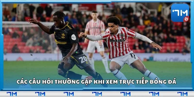 Các câu hỏi thường gặp khi xem trực tiếp bóng đá 