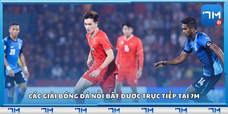 Các giải bóng đá nổi bật được trực tiếp tại 7m